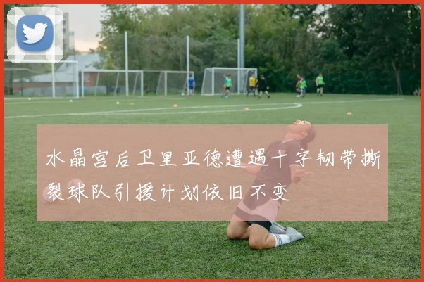 水晶宫后卫里亚德遭遇十字韧带撕裂球队引援计划依旧不变